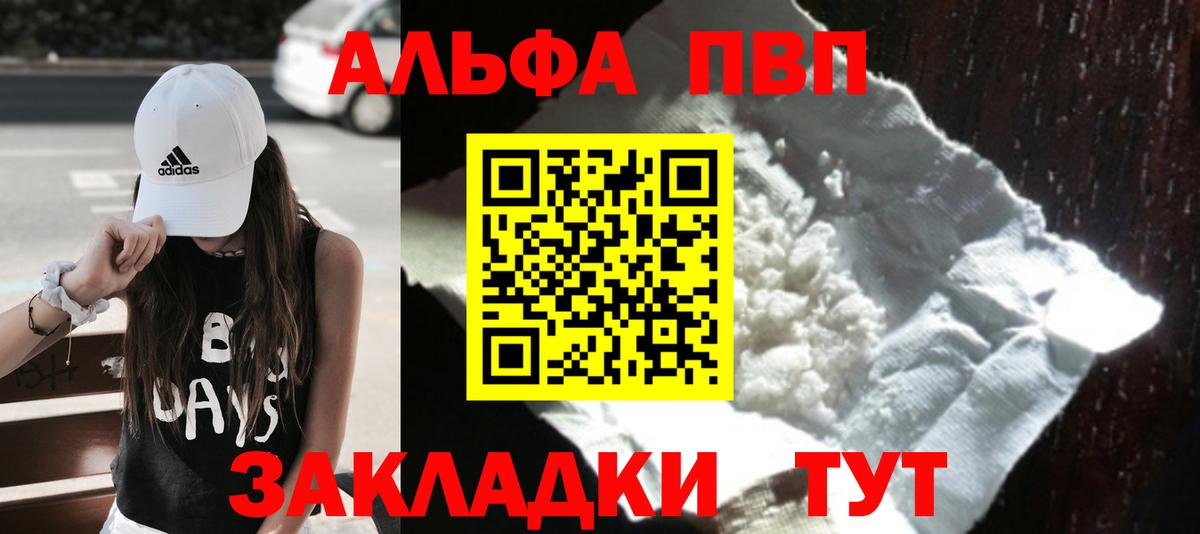 Альфа ПВП СК КРИС Балашов