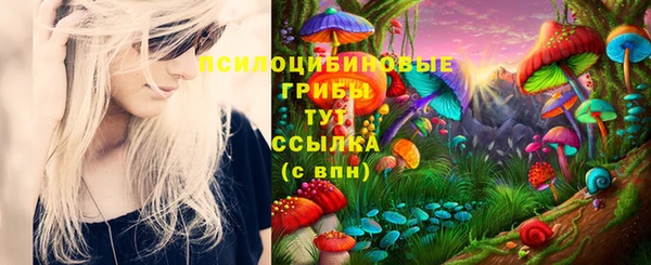 скорость Алексин