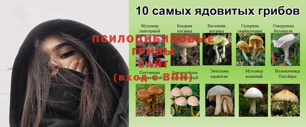 скорость Алзамай