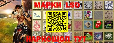 Альфа ПВП Новодвинск