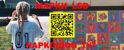 Альфа ПВП Новодвинск