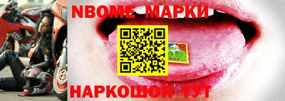 Альфа ПВП Новодвинск