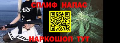 Альфа ПВП Новодвинск