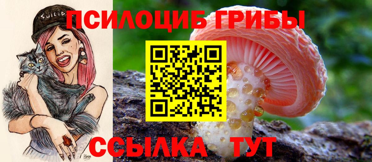 Псилоцибиновые грибы MAGIC MUSHROOMS Балашов