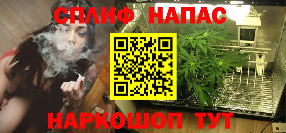 Бошки марихуана конопля Балашов